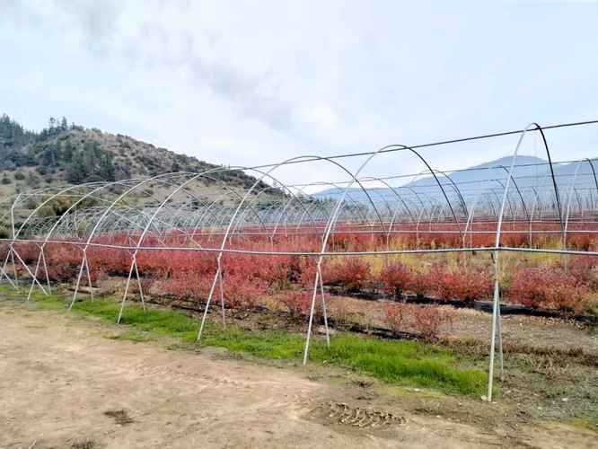 CAMPO AGRÍCOLA 18 HA AGUA INSTALACIONES SAGRADA FAMILIA