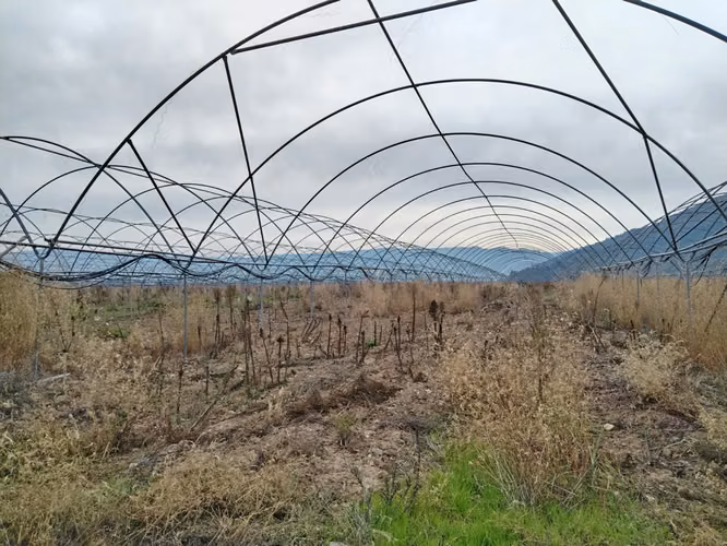 CAMPO AGRÍCOLA 18 HA AGUA INSTALACIONES SAGRADA FAMILIA