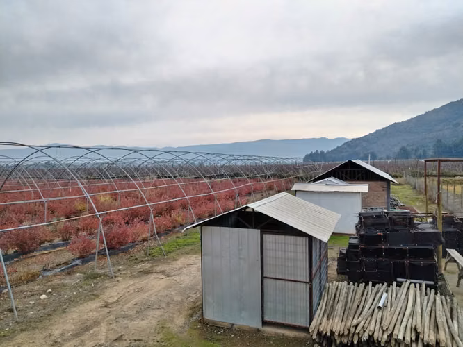 CAMPO AGRÍCOLA 18 HA AGUA INSTALACIONES SAGRADA FAMILIA