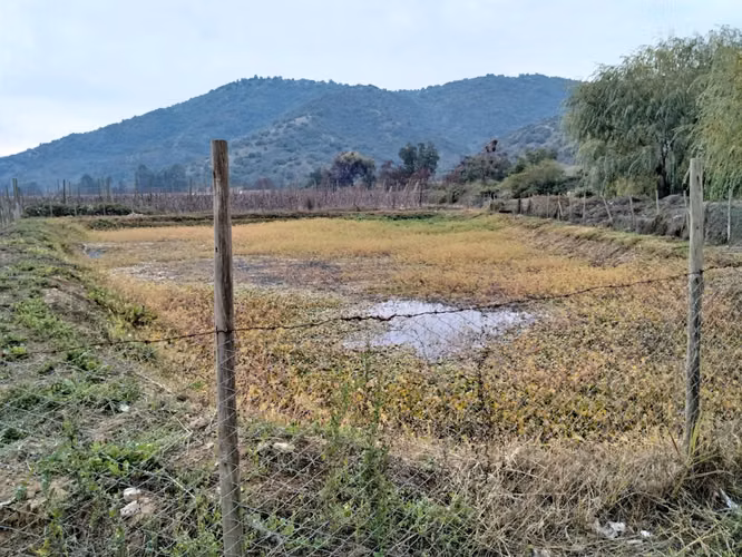 CAMPO AGRÍCOLA 18 HA AGUA INSTALACIONES SAGRADA FAMILIA
