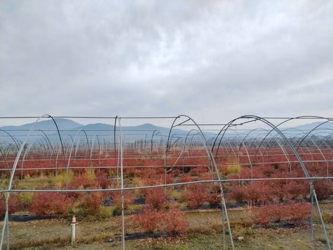 CAMPO AGRÍCOLA 18 HA AGUA INSTALACIONES SAGRADA FAMILIA