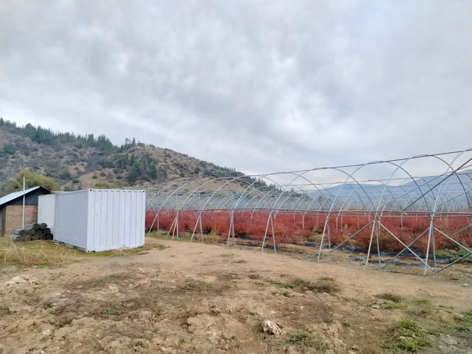 CAMPO AGRÍCOLA 18 HA AGUA INSTALACIONES SAGRADA FAMILIA