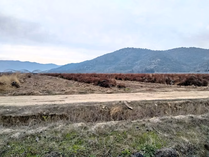 CAMPO AGRÍCOLA 18 HA AGUA INSTALACIONES SAGRADA FAMILIA