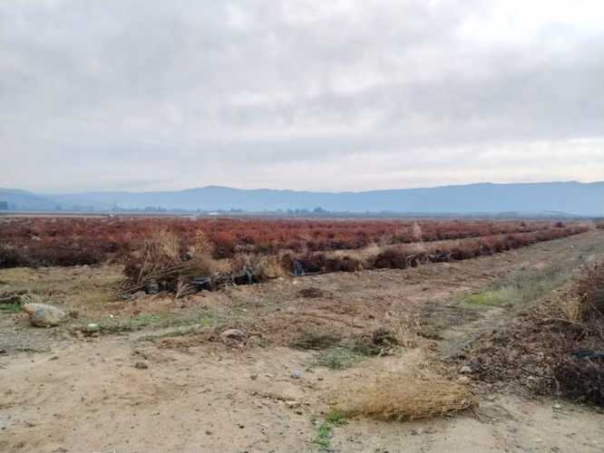 CAMPO 18 HA PLANO AGUA BUEN ACCESO SAGRADA FAMILIA