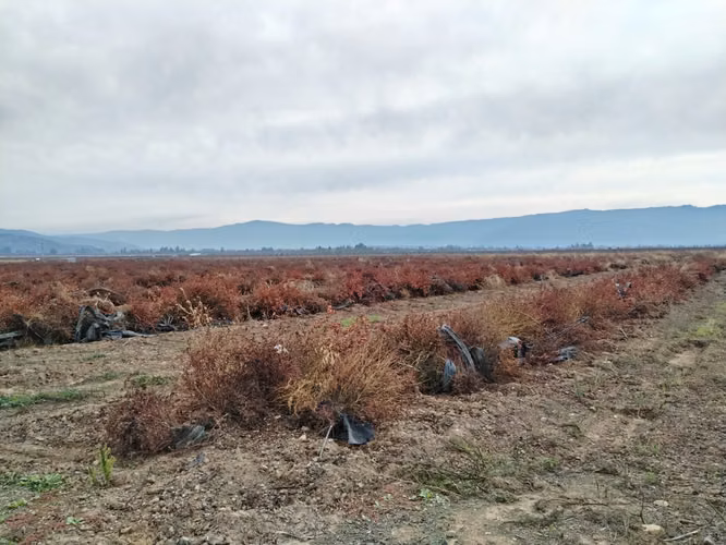 CAMPO AGRÍCOLA 18 HA AGUA INSTALACIONES SAGRADA FAMILIA