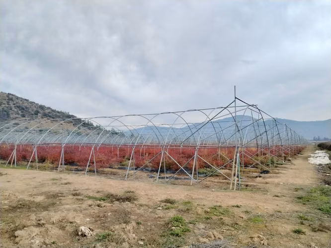 CAMPO AGRÍCOLA 18 HA AGUA INSTALACIONES SAGRADA FAMILIA