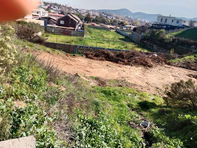 EXCELENTE TERRENO PARA RUBRO INMOBILIARIO, BUEN SECTOR
