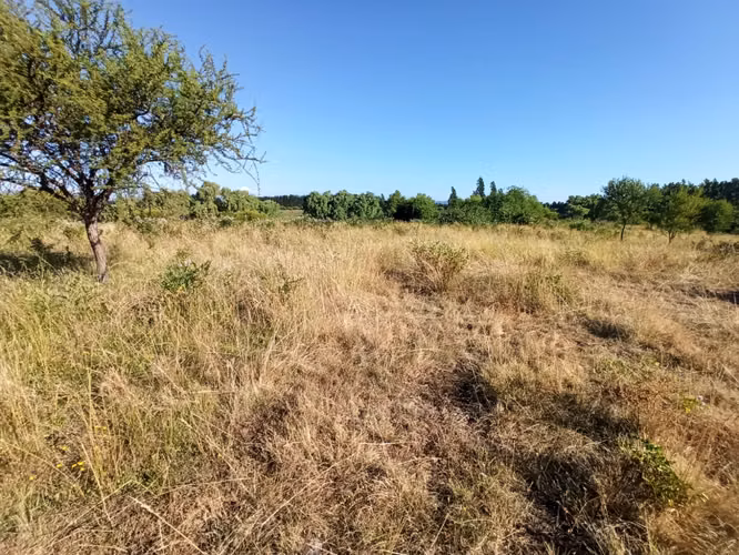 CAMPO AGRÍCOLA EN VENTA, PROPIEDAD DE 19,39 HA - RÍO CLARO