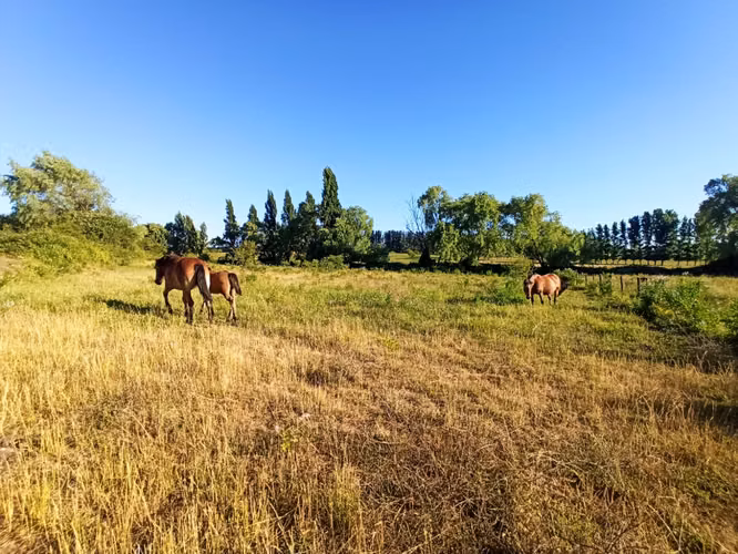 CAMPO AGRÍCOLA EN VENTA, PROPIEDAD DE 19,39 HA - RÍO CLARO