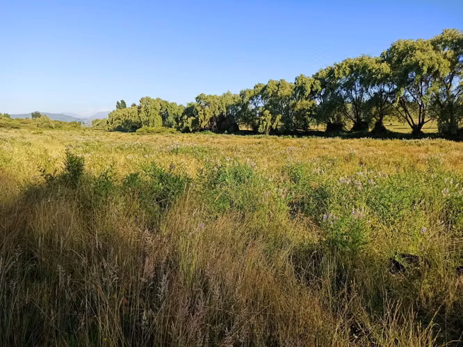 PROPIEDAD AGRÍCOLA EN VENTA, CAMPO DE 19,39 HA - RÍO CLARO