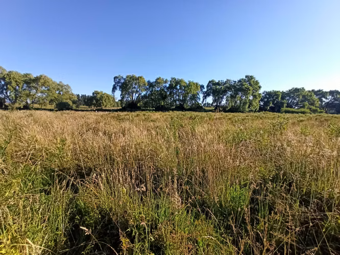 PROPIEDAD AGRÍCOLA EN VENTA, CAMPO DE 19,39 HA - RÍO CLARO