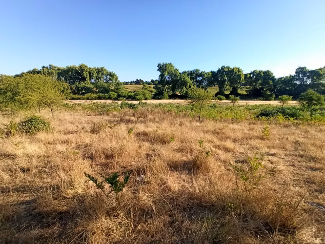 PROPIEDAD AGRÍCOLA EN VENTA, CAMPO DE 19,39 HA - RÍO CLARO