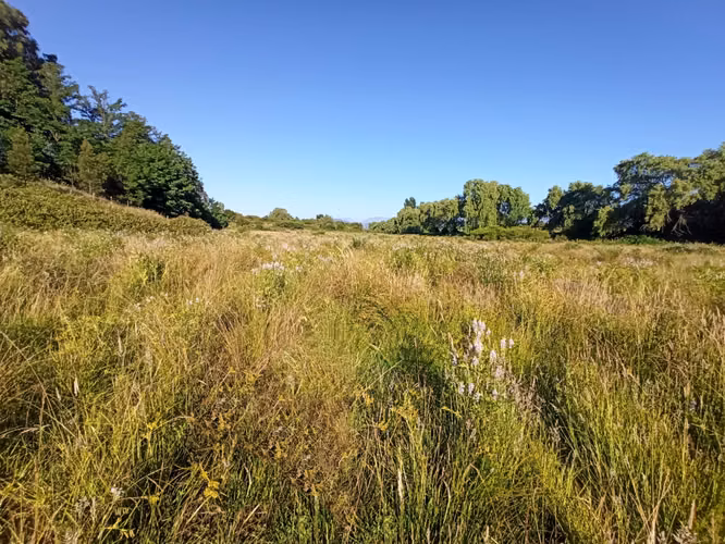 CAMPO AGRÍCOLA EN VENTA, PROPIEDAD DE 19,39 HA - RÍO CLARO