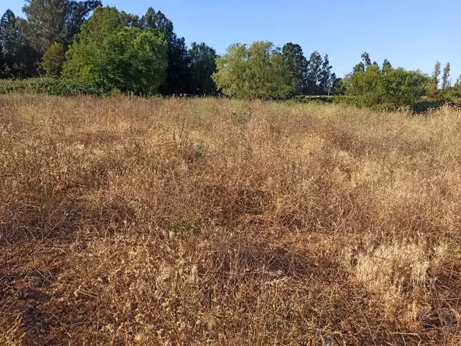 CAMPO AGRÍCOLA EN VENTA, PROPIEDAD DE 19,39 HA - RÍO CLARO
