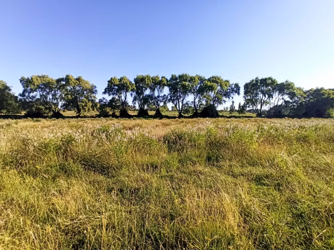 CAMPO, TERRENO AGRÍCOLA EN VENTA, 19,39 HA - RÍO CLARO