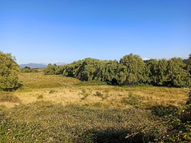 PROPIEDAD AGRÍCOLA EN VENTA, CAMPO DE 19,39 HA - RÍO CLARO