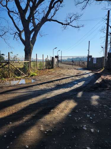 PARCELA DE 5000 M2, ACCESO CONTROLADO Y ELECTRICIDAD, FREIRE - Imagen 1