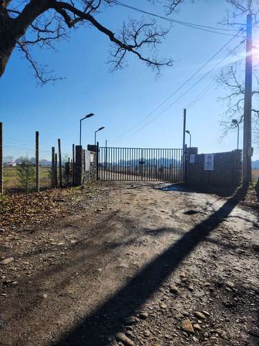 PARCELA DE 5000 M2, ACCESO CONTROLADO Y ELECTRICIDAD, FREIRE - Imagen 8