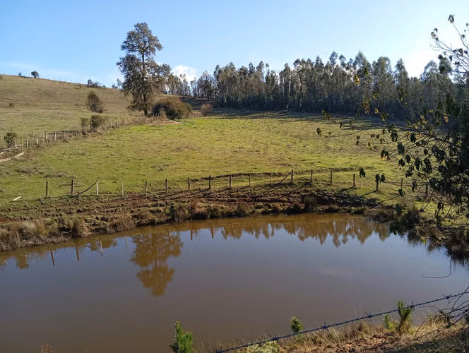 VENTA CAMPO EN NUEVA IMPERIAL, SECTOR QUILAMANZANOS - Imagen 10