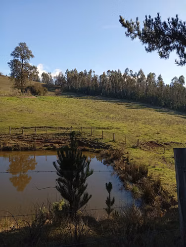 VENTA CAMPO EN NUEVA IMPERIAL, SECTOR QUILAMANZANOS - Imagen 12