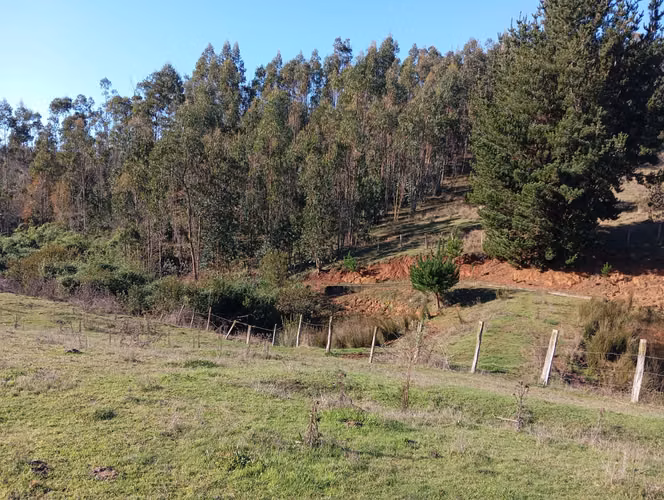 VENTA CAMPO EN NUEVA IMPERIAL, SECTOR QUILAMANZANOS - Imagen 5