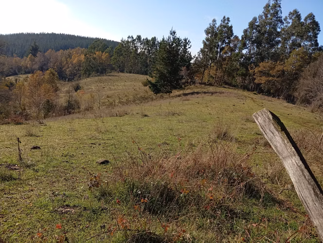 VENTA CAMPO EN NUEVA IMPERIAL, SECTOR QUILAMANZANOS - Imagen 28