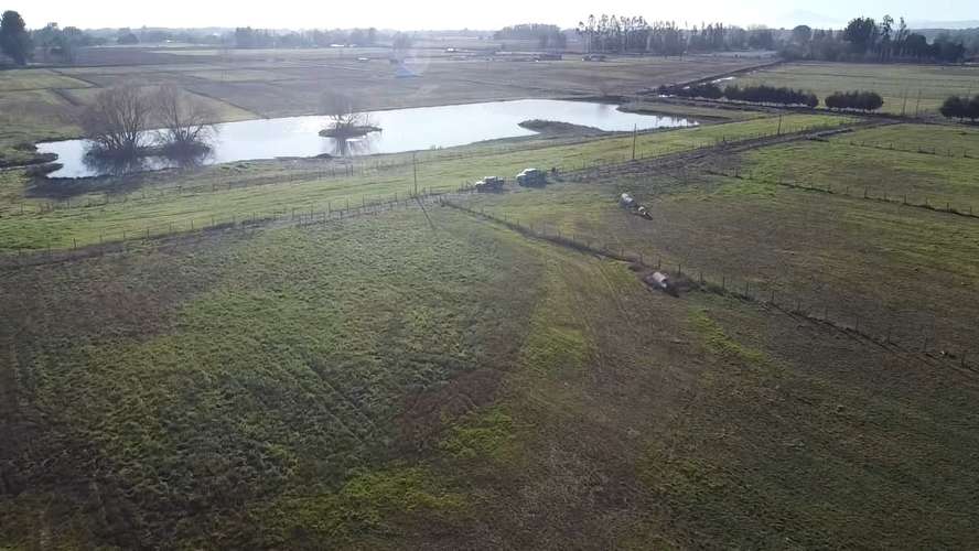 TU REFUGIO SOÑADO EN LAS ROSAS, FREIRE, PARCELA EN VENTA - Imagen 8