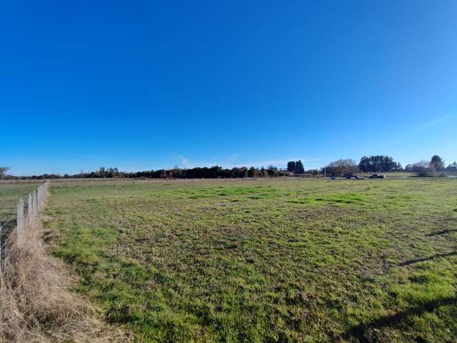 TU REFUGIO SOÑADO EN LAS ROSAS, FREIRE, PARCELA EN VENTA - Imagen 5