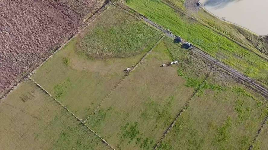 TU REFUGIO SOÑADO EN LAS ROSAS, FREIRE, PARCELA EN VENTA - Imagen 12