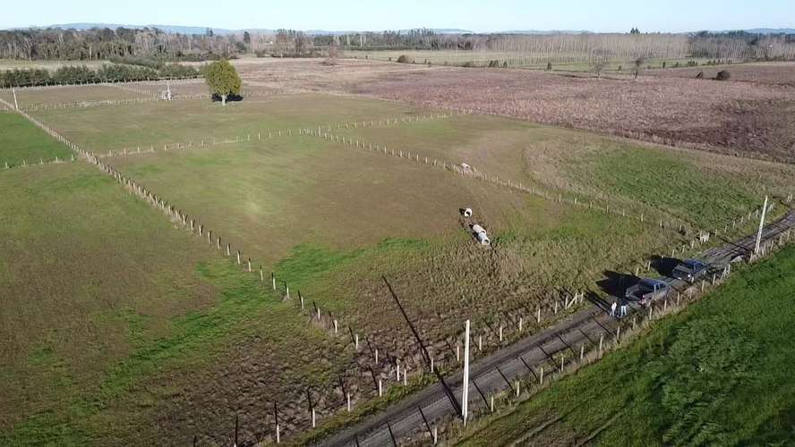 TU REFUGIO SOÑADO EN LAS ROSAS, FREIRE, PARCELA EN VENTA - Imagen 9