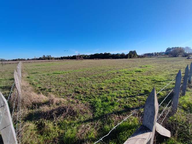 TU REFUGIO SOÑADO EN LAS ROSAS, FREIRE, PARCELA EN VENTA - Imagen 7
