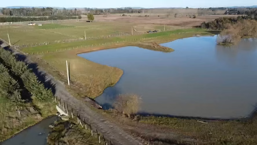 TU REFUGIO SOÑADO EN LAS ROSAS, FREIRE, PARCELA EN VENTA