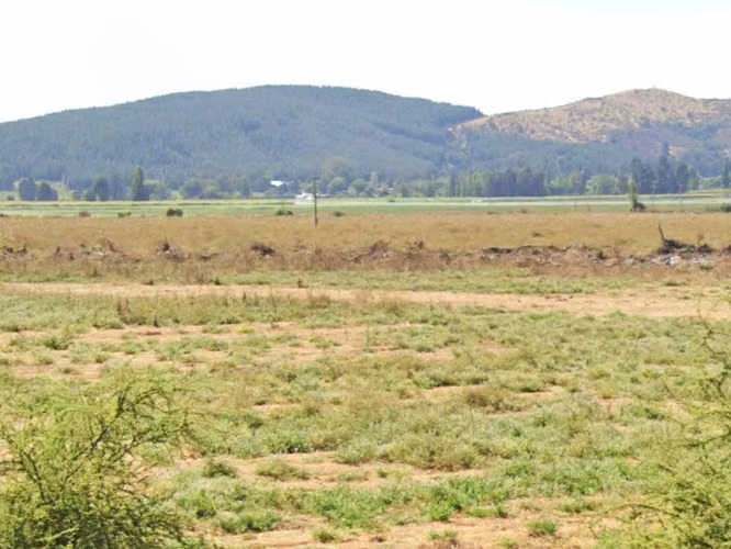 CAMPO, AGRÍCOLA EN VENTA, 49 HA, SAN JAVIER - Imagen 3