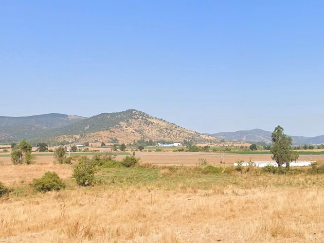 CAMPO, AGRÍCOLA EN VENTA, 49 HA, SAN JAVIER - Imagen 4