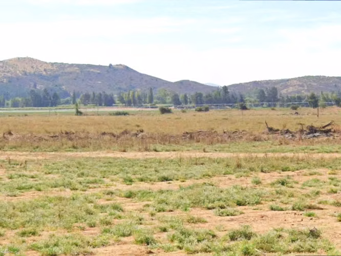 CAMPO, AGRÍCOLA EN VENTA, 49 HA, SAN JAVIER - Imagen 9