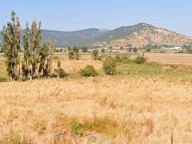 CAMPO, AGRÍCOLA EN VENTA, 49 HA, SAN JAVIER - Imagen 14