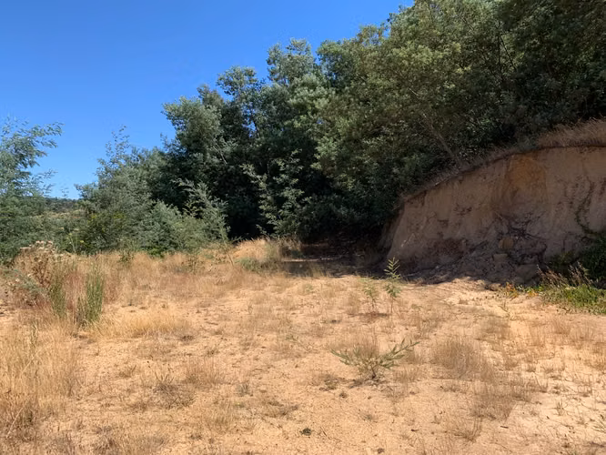 HERMOSA PARCELA SECTOR PULPERÍA YUMBEL