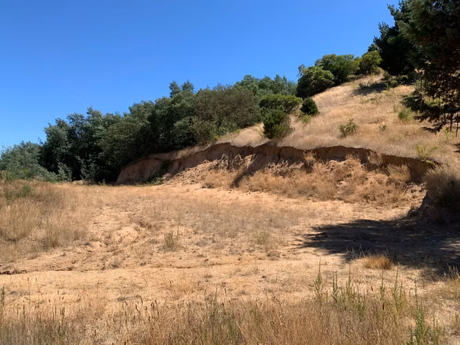 HERMOSA PARCELA SECTOR PULPERÍA YUMBEL