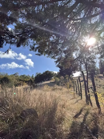 HERMOSA PARCELA SECTOR PULPERÍA YUMBEL