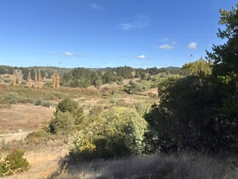 HERMOSA PARCELA SECTOR PULPERÍA YUMBEL