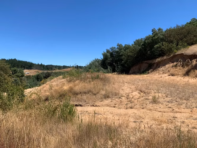 HERMOSA PARCELA SECTOR PULPERÍA YUMBEL