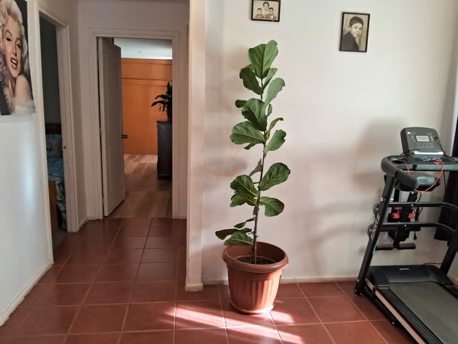 PARCELA CON CASA  EN VENTA  SECTOR LA VIÑITA - Imagen 13