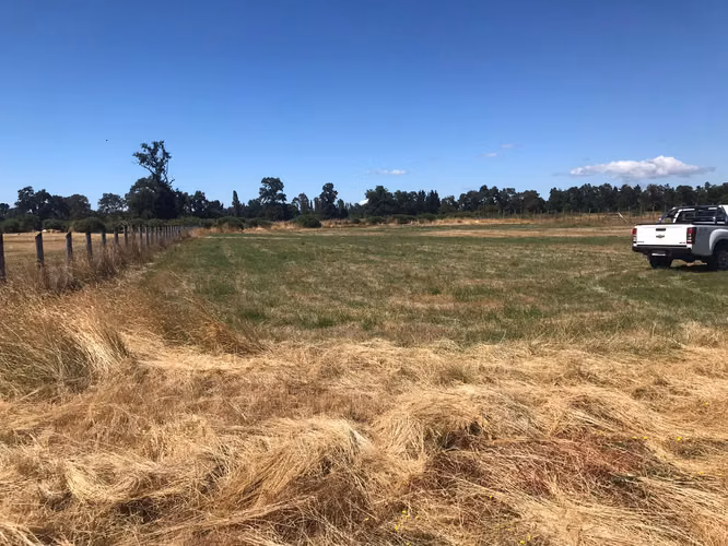 CON ACCESO EXCLUSIVO AL RIO TOLTEN, PARA PESCA Y RECREACIÓN