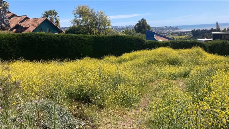 Sitio en venta en Quintero, a solo 5 minutos de Concón