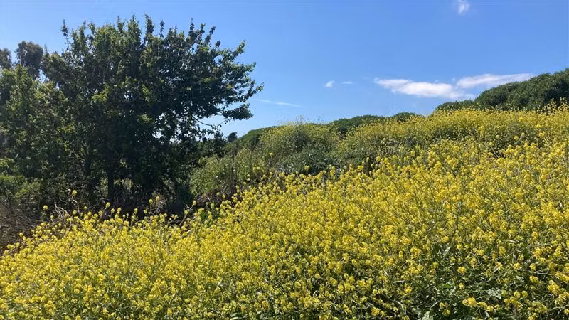 Sitio en venta en Quintero, a solo 5 minutos de Concón