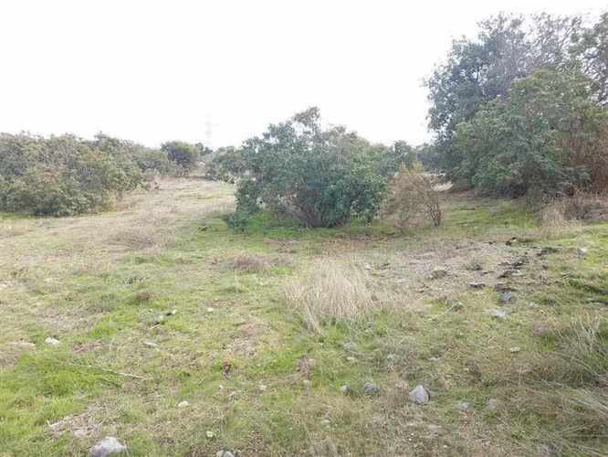 Parcela en venta en Olmué - Imagen 9