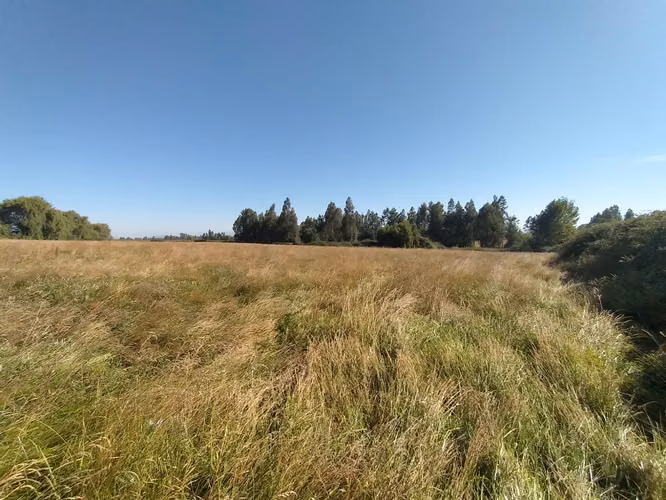 TERRENO AGRÍCOLA EN VENTA, CAMPO DE 60 HA, TENO