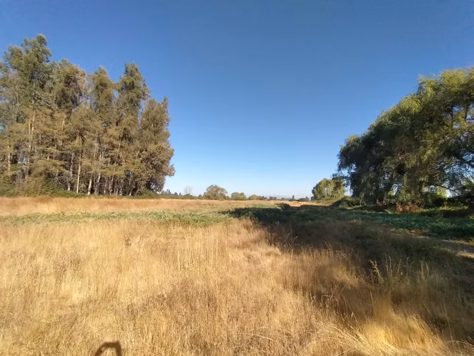 CAMPO, AGRÍCOLA EN VENTA, 60 HA, TENO