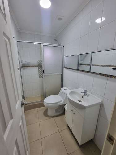 CABAÑA DE 2 DORMITORIOS 2 BAÑOS PARCELA CERCA DE PTO VARAS - Imagen 21