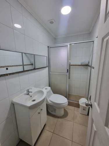 CABAÑA DE 2 DORMITORIOS 2 BAÑOS PARCELA CERCA DE PTO VARAS - Imagen 19